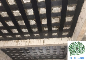 新龙厂房碳纤维加固